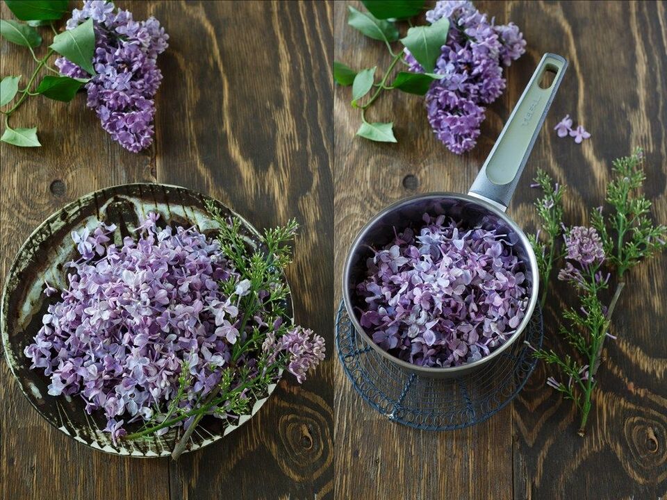 lilac decoction to improve potency